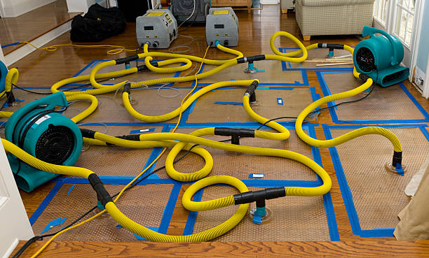 Professional Crawl Space Water Removal technician working in Strathmore, CA